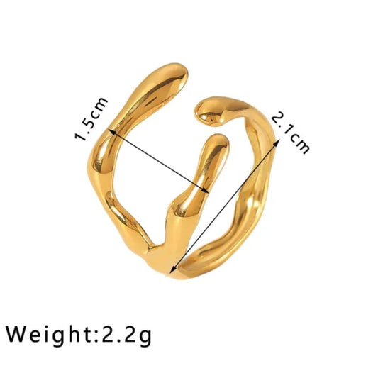 ANILLO RAICES